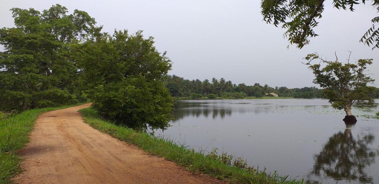 Hasthi Lake Resort Habarana Exterior photo